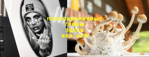 индика Балахна