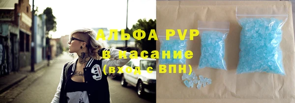 индика Балахна