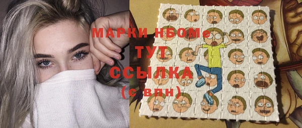 индика Балахна