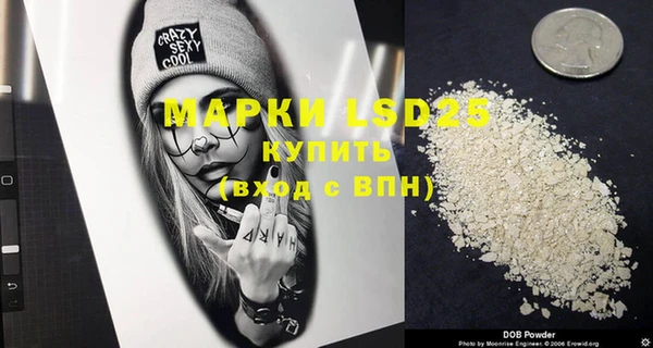 индика Балахна