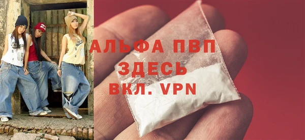 индика Балахна