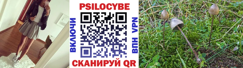 Галлюциногенные грибы MAGIC MUSHROOMS  купить закладку  Купино 